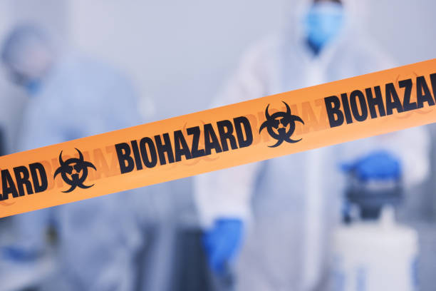 Professional Hoarding Cleanup technician working in Sloan, NV